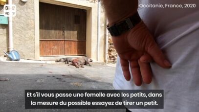 Chasse(s) : extraits de notre infiltration