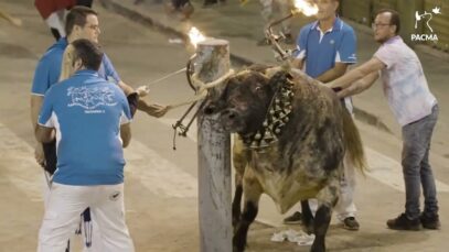 Documentamos un horrible festejo de toros embolados en Onda (Castellón)