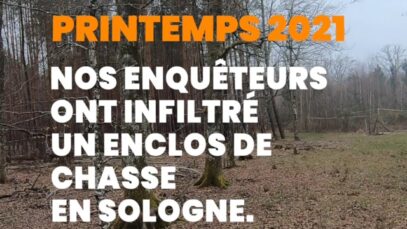 Infiltration dans un enclos de chasse en Sologne