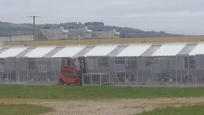 L’élevage de chiens destinés à l’expérimentation animale à Gannat, Allier