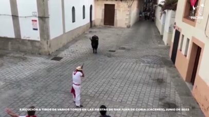 Matan a varios toros de un disparo en las fiestas de Coria