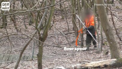 New investigation! Penned hunting infiltrated by One Voice – full clip