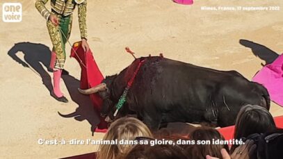 Nîmes, Féria des Vendanges, 17 septembre 2022