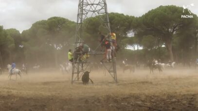 Nos infiltramos en Tordesillas: documentamos el Toro de la Vega