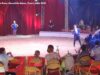 Singes et poneys du “Grand Cirque de Rome” #CirquesSansAnimaux #CirquesSansAnimaux