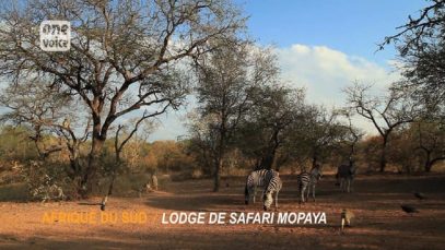 Une minute de bonheur : déjeuner en Afrique