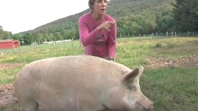 A tour around Woodstock Sanctuary (2009)