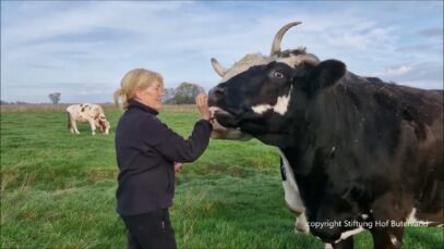 Abwehrkräfte tanken