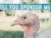 Sponsor a Turkey This Season!