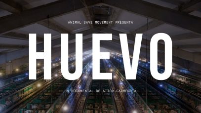 Huevo | La vida de las gallinas explotadas en jaulas. (Documental)