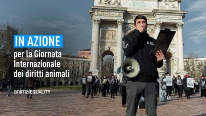 Giornata internazionale dei diritti animali: la nostra azione a Milano