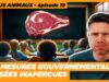 Actus animaux : Les radicales mesures du gouvernement | Un abattoir aux murs de verre