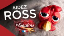 Aidez Ross : poulet rescapé d’un élevage Le Gaulois