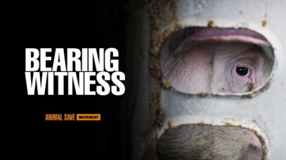 Global Vigil at the Gates of the Slaughterhouse: Worldwide Activism