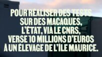 Pour réaliser des tests sur des macaques, l’État, via le CNRS, verse 10 millions d’euros à un élevage de l’île Maurice