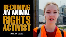 Becoming An Animal Rights Activist | Witnessing a Cow Vigil in Toronto