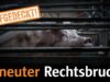 Schweinezuchtbetrieb: Erneuter Rechtsbruch aufgedeckt