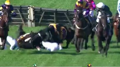 7th Jumps Horse Killed in Victoria in 2024