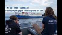 Ban Live Export  – Stopp Tierexporte per Schiff