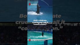 SeaWorld v. The Miami Seaquarium