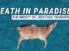 Death in Paradise – The Impact of Livestock Transport by Sea