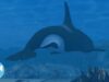 SeaWorld Was Built On Every Mom’s Worst Nightmare