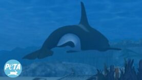 SeaWorld Was Built On Every Mom’s Worst Nightmare