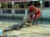 Chained, Dragged, and Driven Insane—This is Life for Animals at Samutprakan Zoo