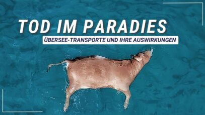 Tod im Paradies – Überseetransporte und ihre Auswirkungen