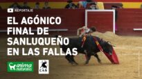 El agónico final de Sanluqueño en Las Fallas de Valencia