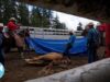 Horse Crash at a Rodeo in Canada Will Be Impossible to Forget