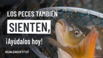 Los PECES también SIENTEN