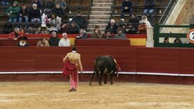 Sanluqueño’s agonising end in the Fallas of Valencia