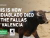 This is how Endiablado died in Fallas of Valencia