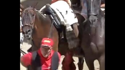 Un caballo es corneado en Segorbe