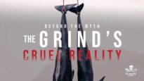 Beyond the Myths: The Grind’s Cruel Reality