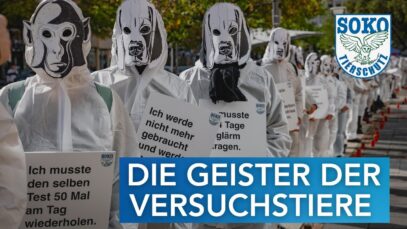 Geister der Versuchstiere suchen Science Festival heim// SOKO Tierschutz e.V.