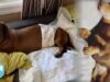 The Truth About Buying Dachshunds: Mila and Fedor’s Story