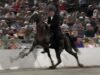 Undercover investigation reveals widespread abuse of Tennessee walking horses