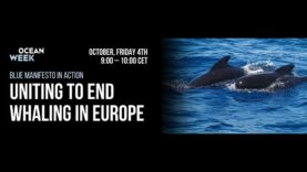 Webinar Recording: Uniting to End Whaling in Europe