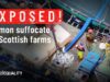 Animal Equality Investigation Exposes Abuse and Mass Deaths on Salmon Farms