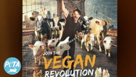 Gojira Vocalist Joe Duplantier: ‘Join the Vegan Revolution’ | PETA