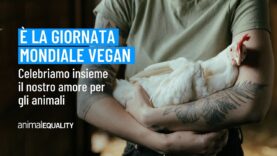 Perché celebriamo il World Vegan Day