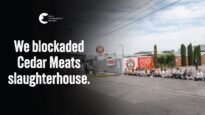 Slaughterhouse Vigil Turned Blockade | Cedar Meats