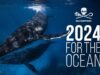 2024: A Massive Year for the Ocean | Sea Shepherd Australia