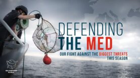 Defending the Med: Our Fight Against the Biggest Threats This Season