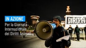 Giornata Internazionale dei Diritti degli Animali, 10 dicembre 2024, Milano