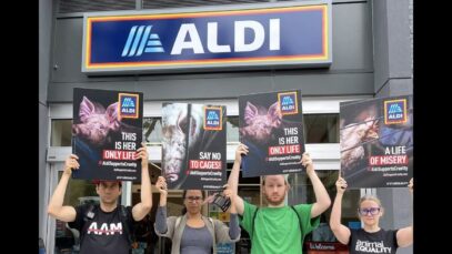 Aldi Cruelty and the Fight for Animals