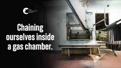 Disrupting a Gas Chamber at a Pig Slaughterhouse | Benalla