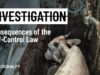 Exposing Brazil’s Self-Control Law: The Global Risk of Factory Farm Oversight